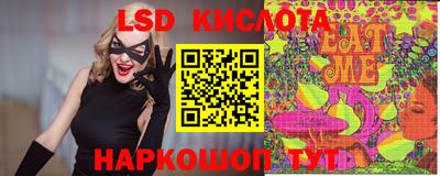 PSILOCYBIN Бугуруслан