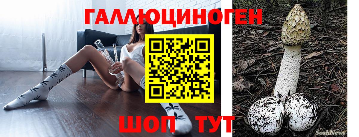 Псилоцибиновые грибы мицелий Искитим