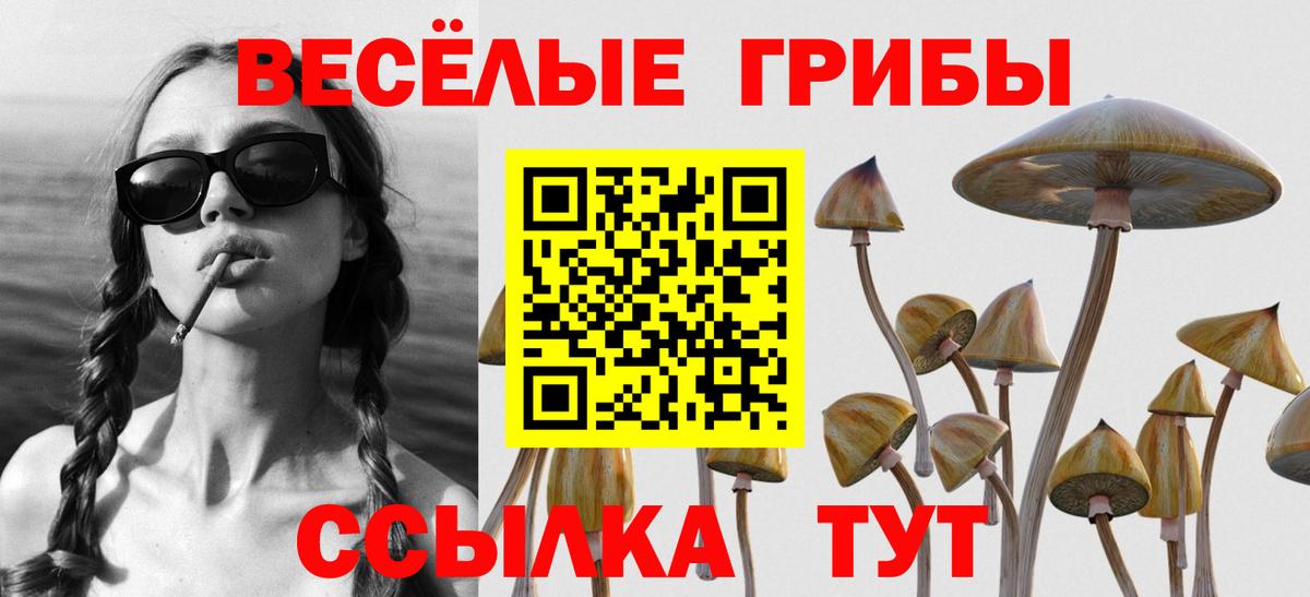 Псилоцибиновые грибы GOLDEN TEACHER  Вход с VPN  Искитим 